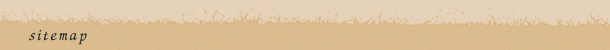 �T�C�g�}�b�v